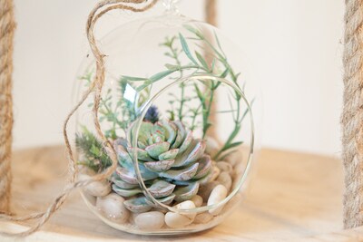 Lovely Whimsical Glass Terrarium with Artificial Succulents and Plants in Light Greens and Blue Tones - image3